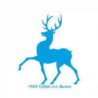 ГКОУ С(К)Ш Выкса