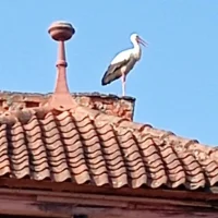 Канал ДДТ города Багратионовска