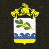 СПб ГКУ "ПСО Курортного района"