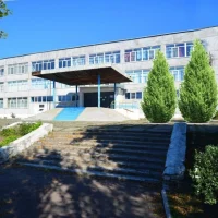 ГБОУ «ВЛАДИМИРОВСКАЯ ШКОЛА № 1 ВОЛНОВАХСКОГО М.О.»