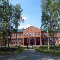 Информационный канал МБОУ "Шалинская СОШ N 45"