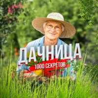 Дачница - сад огород семена алтая руками петровчанка акинина виктория карелина ired.cap огурцы помидоры ягоды удобрение selchanka лариса зарубина нетипичный фермер посадка zacvetet дом лайфхаки