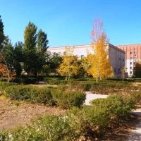 ГАСУ СО АО Наримановский дом-интернат