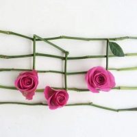 МБУДО "Чмыровская ДШИ"