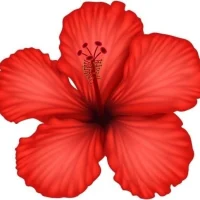 Детский сад №115/Владивосток