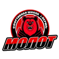 МАУ ДО «СШ «Молот» по хоккею» г.Перми