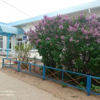 МКОУ "Михайловская ООШ"