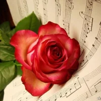 ОКСМ Администрации Краснохолмского МО