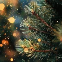 МБОУ СОШ №167 (Важное и интересное)