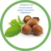 ТОГКСУ СО "Социальный приют для детей "Орешек"