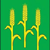 Территориальный отдел "Железнодорожная станция Кудринская"