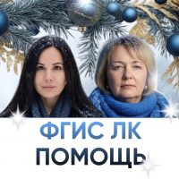 ФГИС ЛК помощь