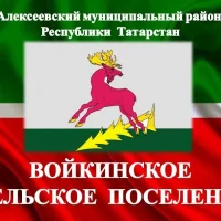 МО "Войкинское сельское поселение"
