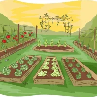 Дачные секреты