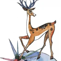 Реабилитационный центр города Нижний Тагил