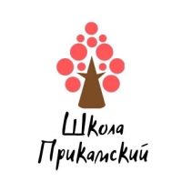 МБОУ СОШ п. Прикамский. Официальный канал