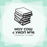 МОУ СОШ с УИОП № 16