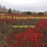 ГКУ ПО "Ахунско-Ленинское лесничество"