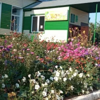 МБДОУ "ЕВЛАШТАУСКИЙ ДЕТСКИЙ САД "РОМАШКА"