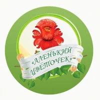 МБДОУ "Детский сад №2 "Аленький цветочек" г. Макарова"