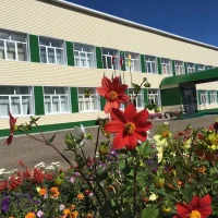 МБОУ "ШИКШИНСКАЯ ООШ"