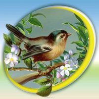 МАДОУ «Детский сад №5 «Соловушка» г. Курчатов