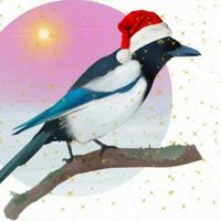 Сорока МОУ СОШ с.Малета. (Забайкальский край, ОО)