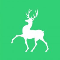 МБДОУ "Детский сад № 208 "Комаровский"