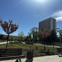 photo_2025-04-10_10-47-40