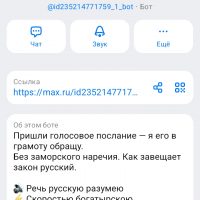 screenshot_2026-04-06-14-18-37-999_ru.oneme_.app_