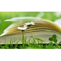 strr8qo_cj11jsbzoqwvjorhawehqy5enpkvg1nldfpkdycufqfrwh51rcvvsmakd-n5fh1fo-umobqccfjcu1r0